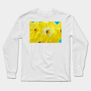 Narcissus  &#39;Regeneration&#39;  Division 7 Jonquilla   Daffodil Long Sleeve T-Shirt